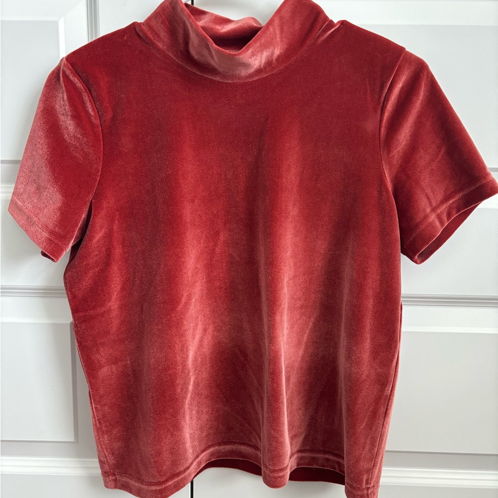 Madewell Boxy Short Sleeve Velvet T-Shirt